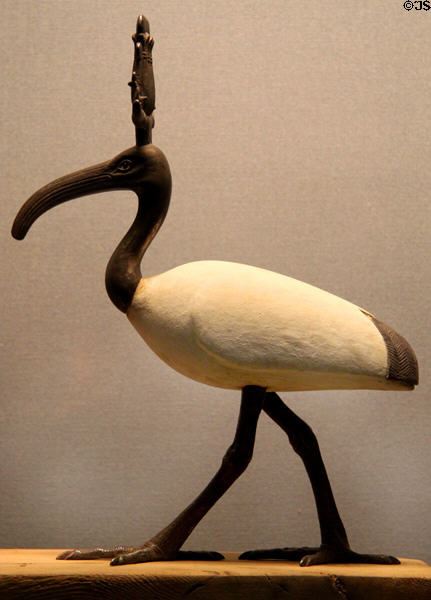 Ancient Egyptian Ibis god statue (6thC BCE) at Kunsthistorisches Museum. Vienna, Austria.