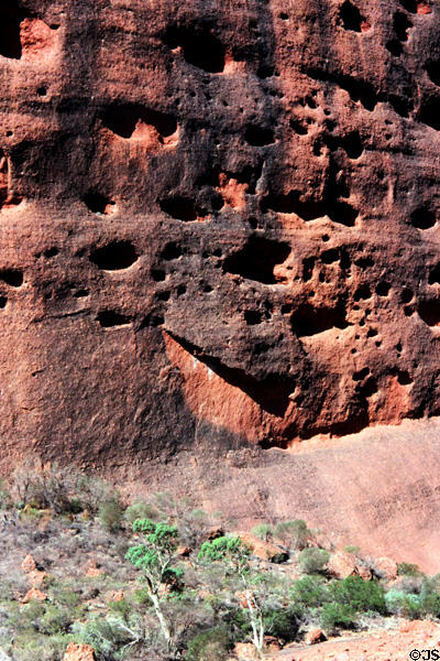 Caves mark face of The Olgas. Australia.