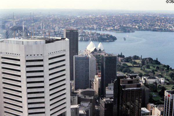 Sydney harbor seen from Sydney Tower. Sydney, Australia.