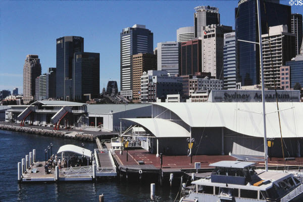 Smooth white roof of Sydney Aquarium in front of skyline. Sydney, Australia.