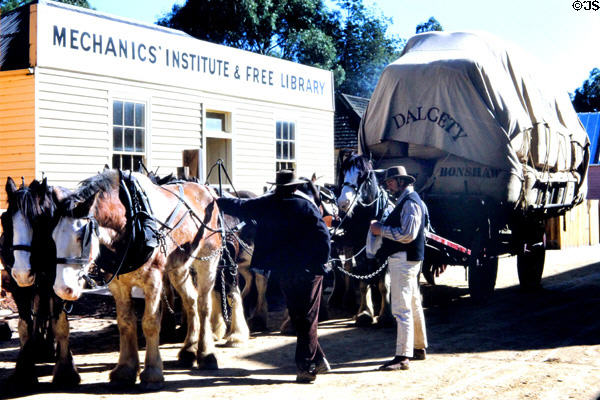 Wool bales on a horse drawn wagon in Ballarat. Ballarat, Australia.