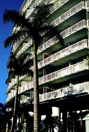 Palm trees stand in front of Our Lucaya Resort hotel on Grand Bahama Island. The Bahamas.