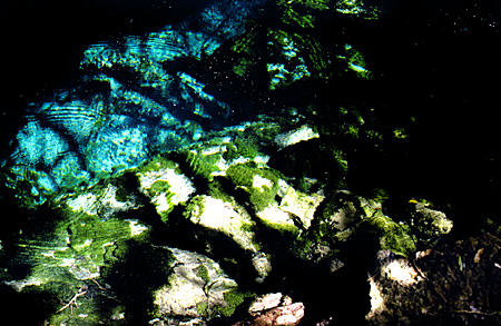 Pool in limestone cave of Lucayan National Park. The Bahamas.