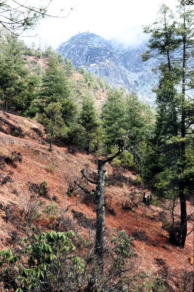 View on climb to Takstang, Tiger's Nest, in Paro. Bhutan.