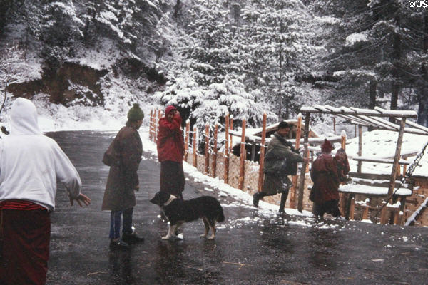 Monks having a snowball fight in Thimpu. Bhutan.