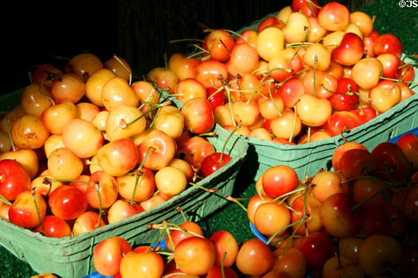 Cherries at Granville Island Market. Vancouver, BC.