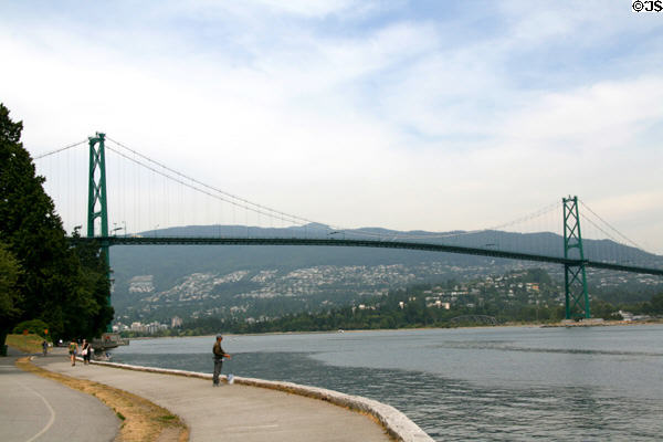 Lions Gate Bridge from path around Stanley Park. Vancouver, BC.