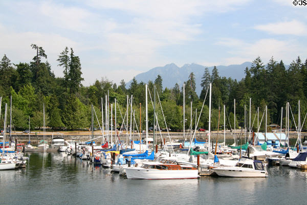 Boats docked at Stanley Park. Vancouver, BC.