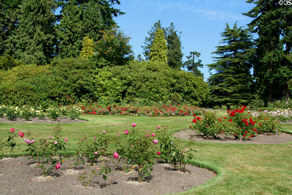 Stanley Park Rose Garden. Vancouver, BC.