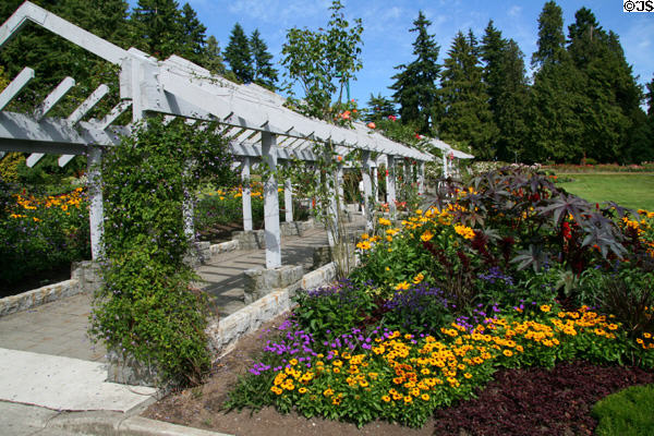 Pergola at Stanley Park Rose Garden. Vancouver, BC.