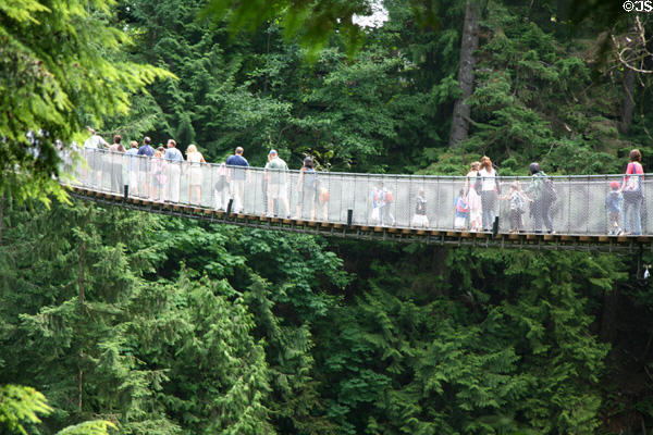 Capilano Suspension Bridge. Vancouver, BC.