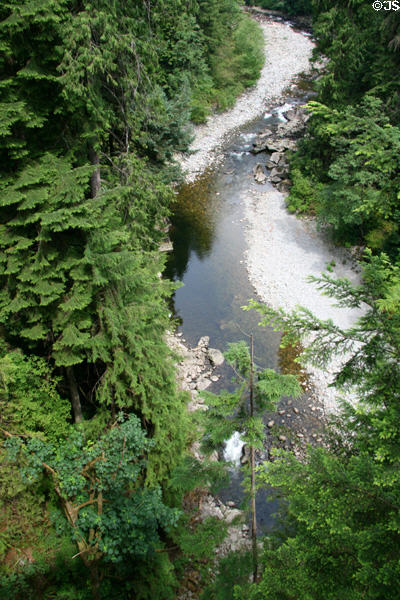 Stream beneath Capilano Suspension Bridge. Vancouver, BC.