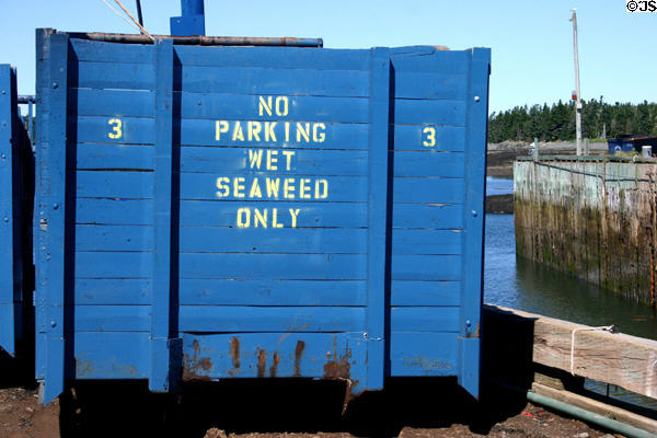 No Parking Wet Seaweed Only bin beside ferry dock. NB.