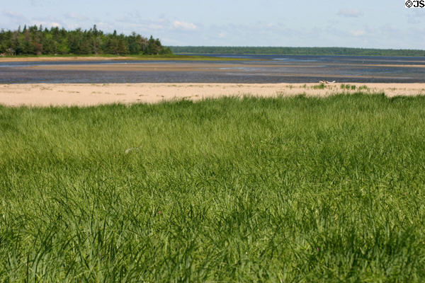 Scenic coast at Kouchibouguac National Park. NB.