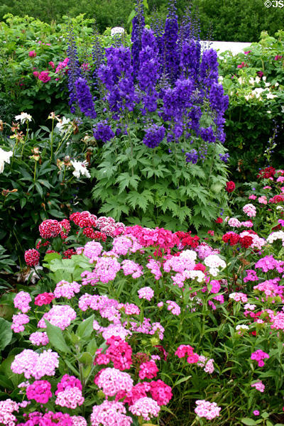 Flower garden at Green Gables. Cavendish, PE.