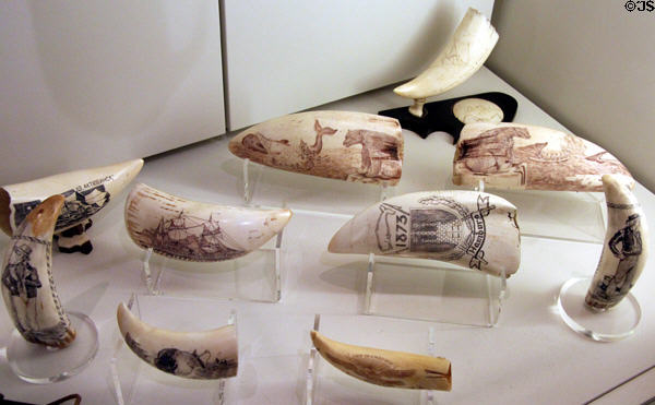 Scrimshaw collection typically created by whalers from the byproducts of whales or walrus tusks at International Maritime Museum. Hamburg, Germany.