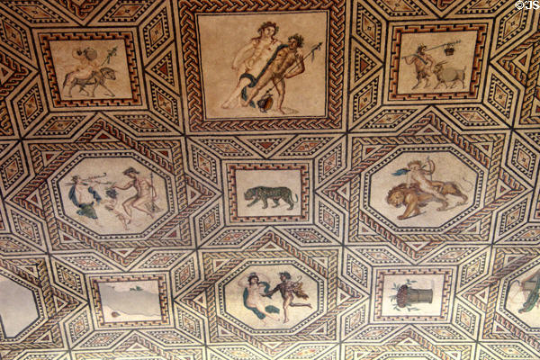 Dionysus mosaic from ruins of a Roman Villa found on site during WWII at Roman Germanic Museum. Köln, Germany.
