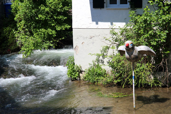Sparrow, symbol of Ulm, standing in Blau River. Ulm, Germany.