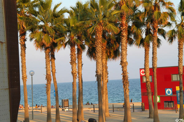 Beach of Barcelona at Carrer de l'Arquitecte Sert. Barcelona, Spain.