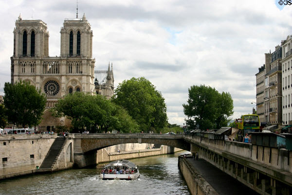 Notre Dame Cathedral over Cité Bridge. Paris, France.