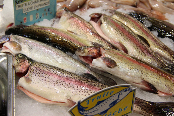 Troute at Nimes market. Nimes, France.
