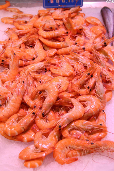 Shrimp at Nimes market. Nimes, France.