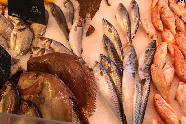 Types of fish at vegetable market. Aix-en-Provence, France.