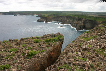 Crevasse in lava at Point de la Grande Vigie. Guadeloupe.