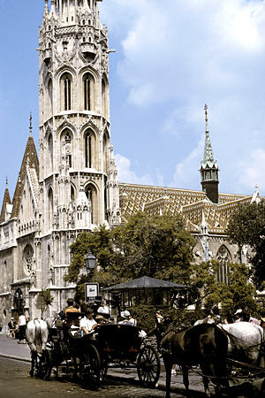 Horse & carriage in front of St Matthias Church in Buda, Budapest. Hungary.