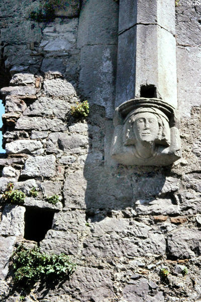 Detail of carving at Kilmallock Abbey. Ireland.
