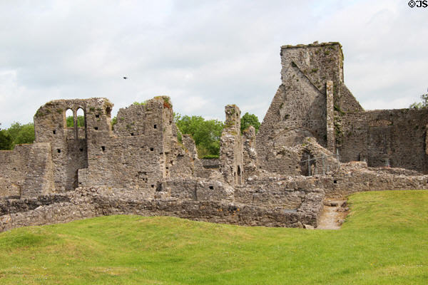 Church ruins at Kells Priory. Ireland.