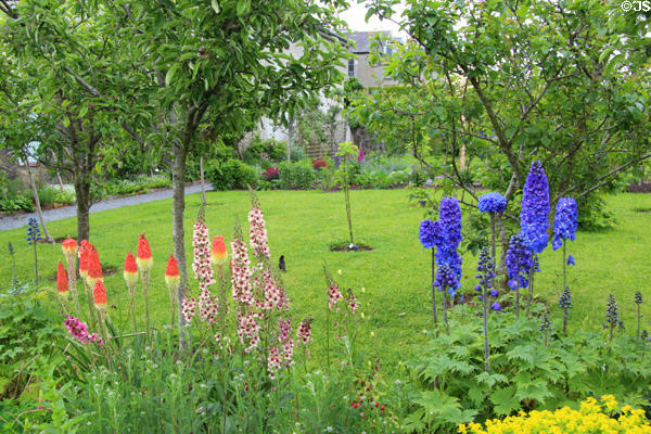 Flower garden at Rothe House. Kilkenny, Ireland.