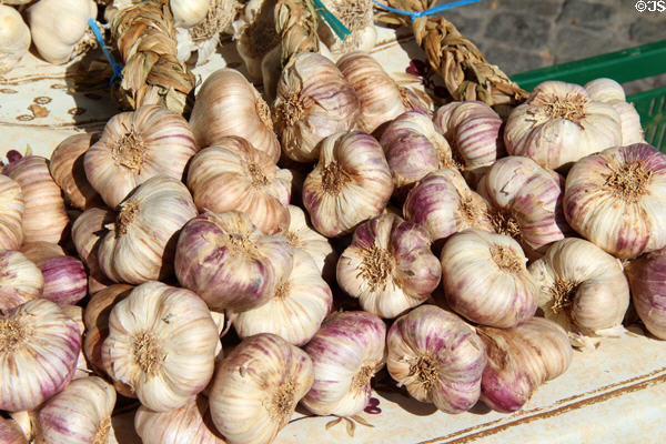 Garlic stand at open air market. Luxembourg, Luxembourg.