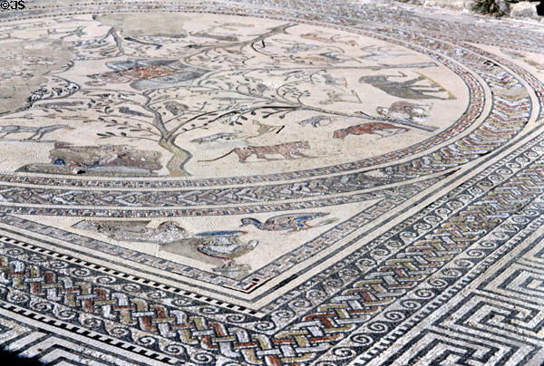 Roman mosaic floor at Volubilis. Morocco.
