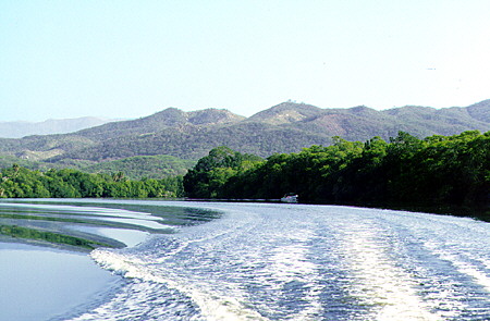 The landscape of Manialtepec as viewed from a boat. Mexico.