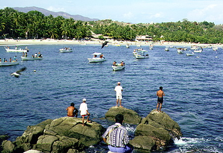 In bay at Puerto Escondido. Mexico.