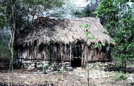 Traditional thatched house with stone base in forest at Chichén Itzá. Mexico.