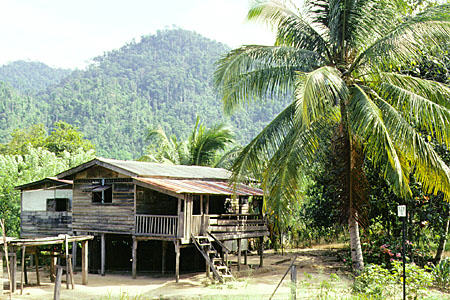 Village seen from Beaufort Train in Tenom. Malaysia.