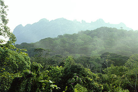 Mt Kinabalu on island of Borneo. Malaysia.