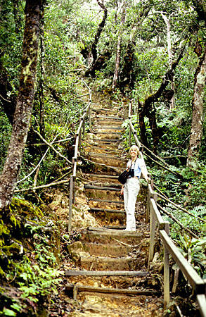 Climbing up Mt Kinabalu in Sabah province. Malaysia.