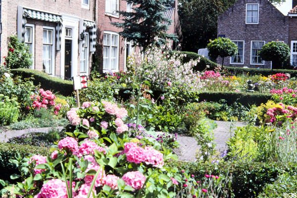 Flower gardens in front of houses. Veere, Netherlands.