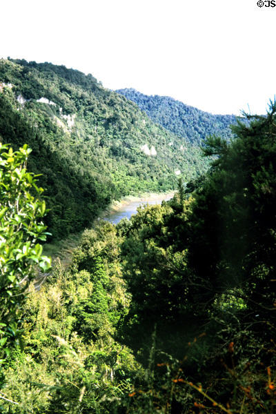 Whanganui River once touristic Rhine of New Zealand.