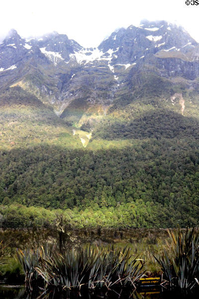 Landscape near Milford Sound. New Zealand.