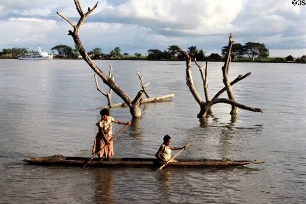 Women paddle by dead waterlogged trees in their canoe, Angoram. Papua New Guinea.
