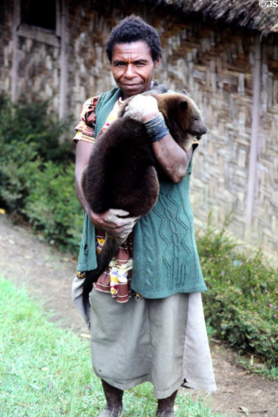 Woman holding a tree kangaroo seen near Kundiawa a highland village. Papua New Guinea.