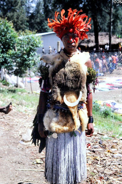 Woman with colorful feathered headdress & tree kangaroo fur in a highland market. Papua New Guinea.
