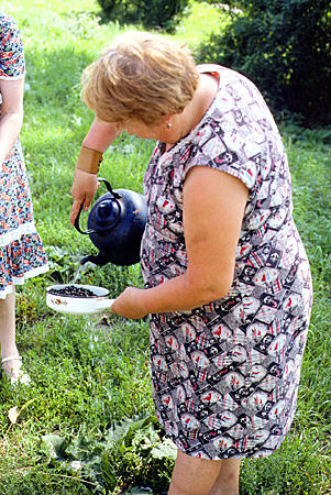 Woman selling berries on road to Vladimir. Russia.