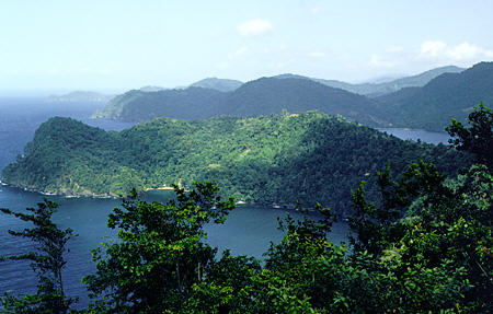 Views of the north coast of Trinidad. Trinidad and Tobago.