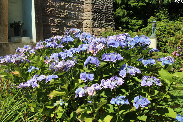 Flowers at Robert Burns Monument. Alloway, Scotland.