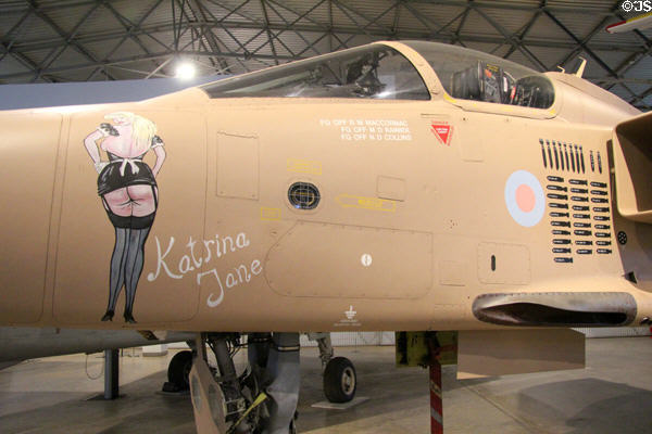 Nose art on Sepecat Jaguar jet fighter (1976) at National Museum of Flight. East Fortune, Scotland.